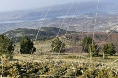 566006739_1414487996675282_2730495328170931048_n