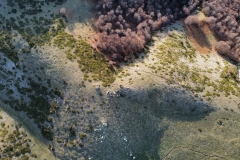 580833780_25453914997537059_7384755670376706192_n