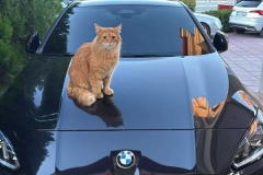 580893777_1344626437360990_5132275769702119239_n