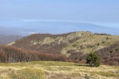 581841663_1226294182643167_1983143996256072201_n