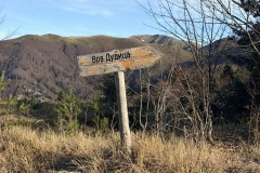 582060545_25545531335071441_5484587478275808910_n