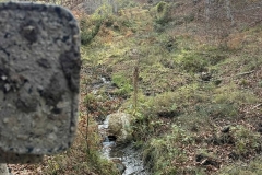 582101886_1195974352383267_3830637243181840332_n