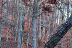 583237282_807128788949216_2993334430994491824_n