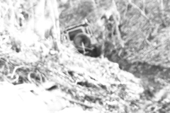 627360596_1595694744999603_6361968132806585297_n