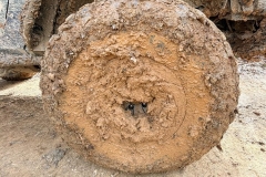 628320814_1548960266331464_7863760940027056331_n