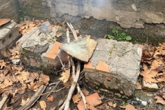 629629619_1234896625400165_7995000006061747631_n