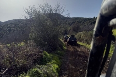 631764705_871421652391044_8434133669989126167_n