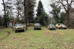 633020304_1539717783764516_3264148252338442374_n