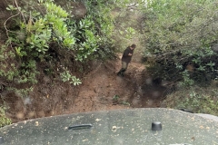 633361082_25991783013774347_8400955367961184737_n