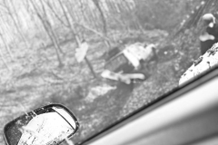 633617933_1709634103782190_5251363752290339941_n