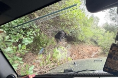 633780333_25687195250972162_3762898571733261966_n