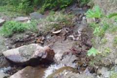 20120602_150029
